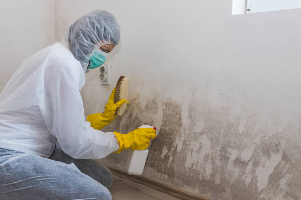 Best Professional Mold Removal  in Lost Hills, CA