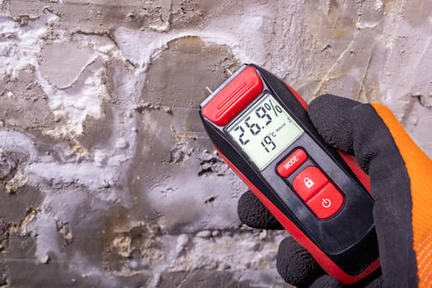 Best Same-Day Mold Removal  in Lost Hills, CA