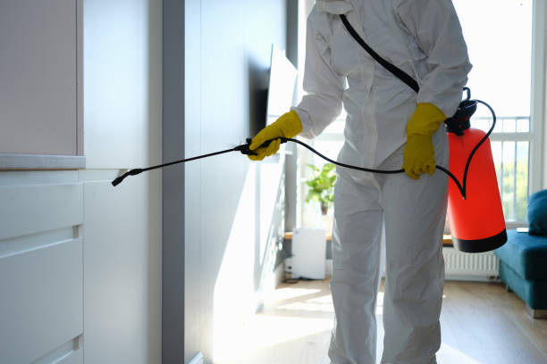 Best Mold Removal Near Me  in Lost Hills, CA
