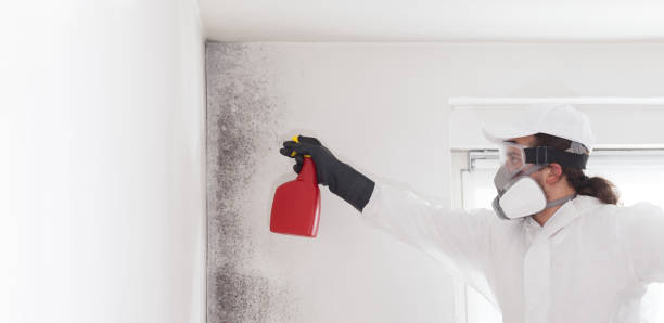 Best Mold Cleaning Services  in Lost Hills, CA