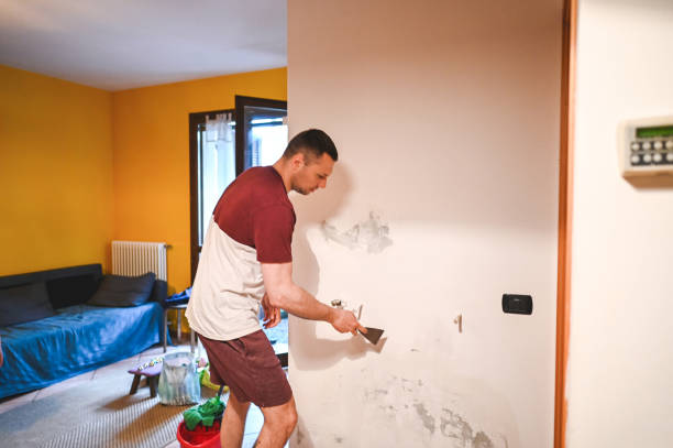 Mold Removal and Inspection in Lost Hills, CA