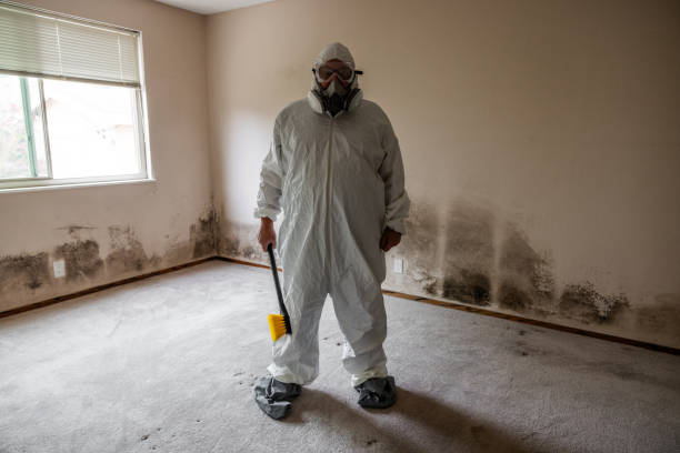 Best Mold Remediation  in Lost Hills, CA