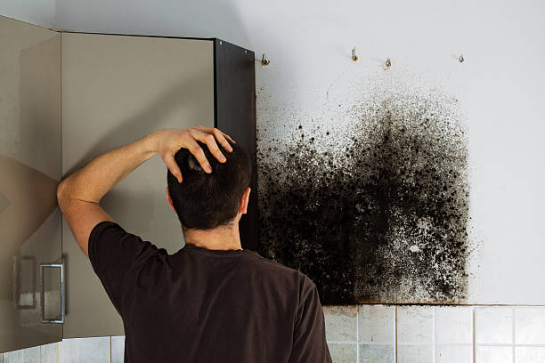 Best Residential Mold Removal  in Lost Hills, CA